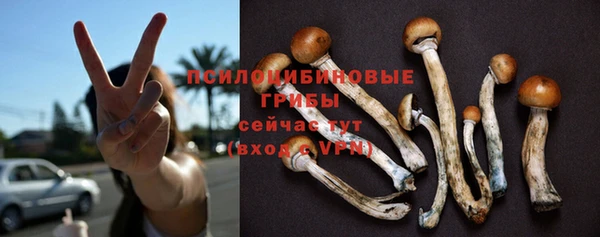трава Алексин