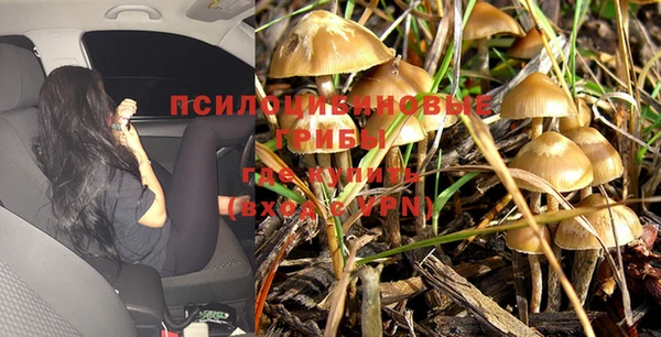трава Алексин