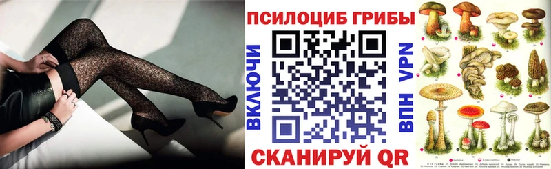 Галлюциногенные грибы Psilocybine cubensis  Таруса 